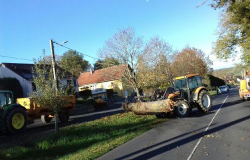 Abattage d'un arbre rue de Sarrebourg